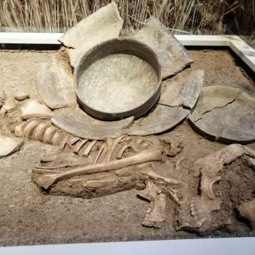 Пример скелетног сахрањивања покојника са гробним прилозима из периода винчанске културе, са локалитета Гомолава у Хртковцима, детаљ поставке „Сан неолитске ноћи“, Музеј Војводине